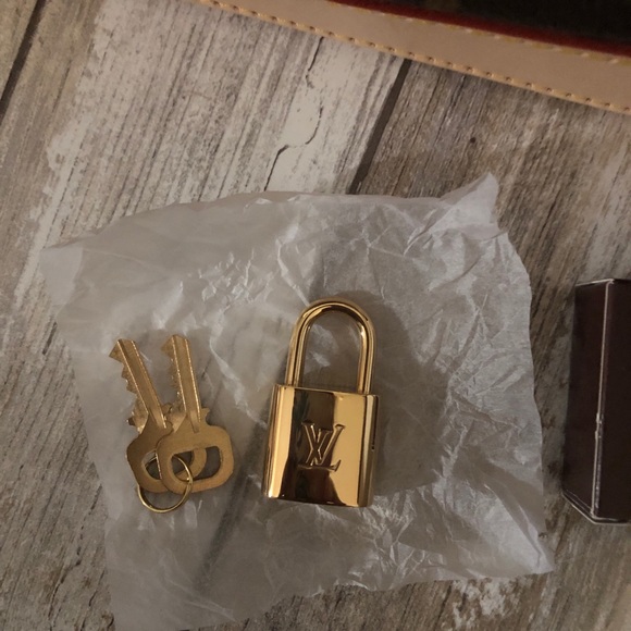 Louis Vuitton Alma - Picture 8 of 11